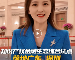 知識(shí)產(chǎn)權(quán)金融生態(tài)綜合試點(diǎn)落地廣東深圳