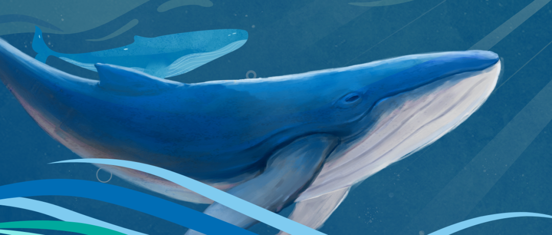 從可達鴨聊聊解封后品牌不能錯過的三個溝通點 | 六月公關傳播月歷